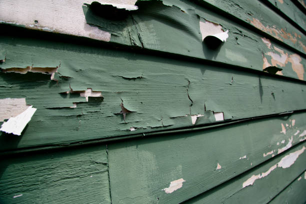Shed Removal in Depew, NY